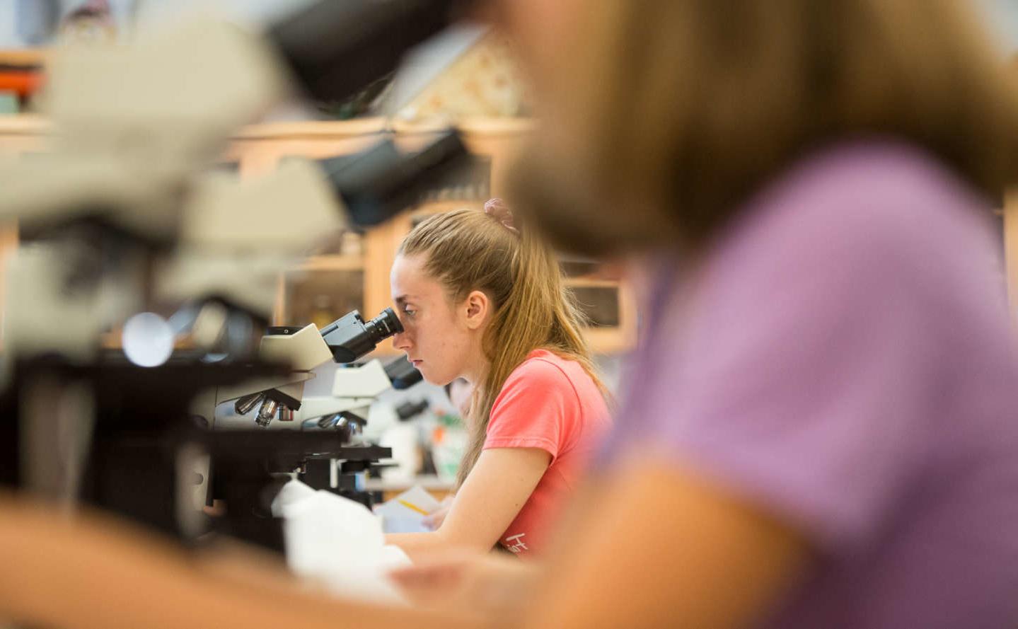 Student in lab focuses on microscope